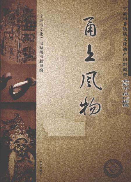 2010-甬上风物  宁波市非物质文化遗产田野调查  余姚市·凤山街道.pdf电子版_浙江省志缩略图