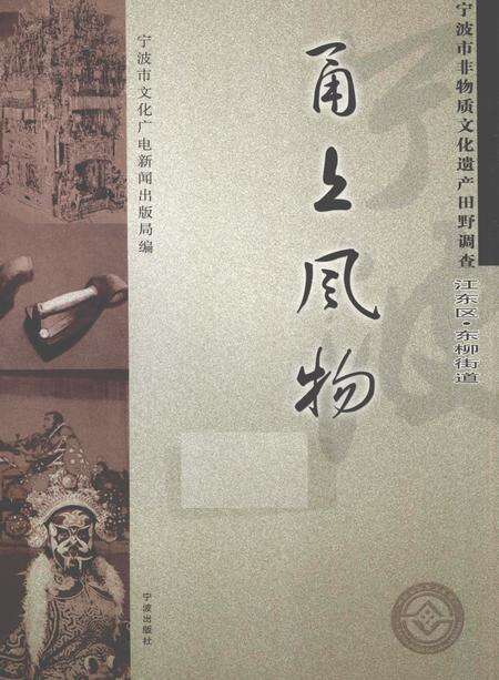 2010-甬上风物  宁波市非物质文化遗产田野调查  江东区·东柳街道.pdf电子版_浙江省志缩略图