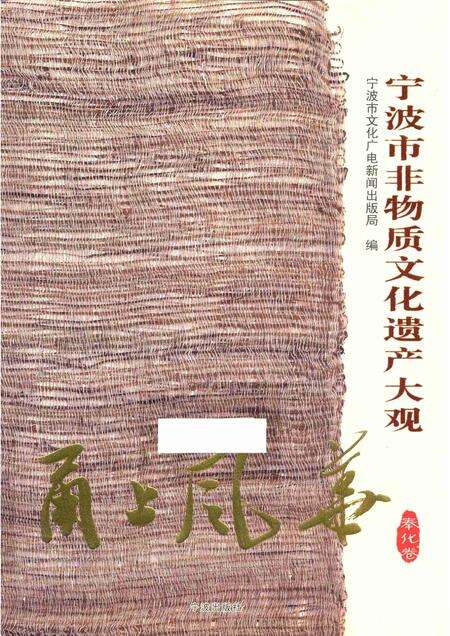 2012-甬上风华  宁波市非物质文化遗产大观  奉化卷.pdf电子版_浙江省志