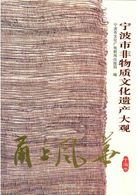 2012-甬上风华  宁波市非物质文化遗产大观  宁海卷.pdf电子版_浙江省志