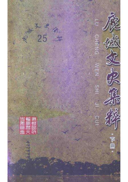 2013-鹿城文史集粹  下  教育医卫  文化艺术  宗教交通  其他.pdf电子版_浙江省志缩略图