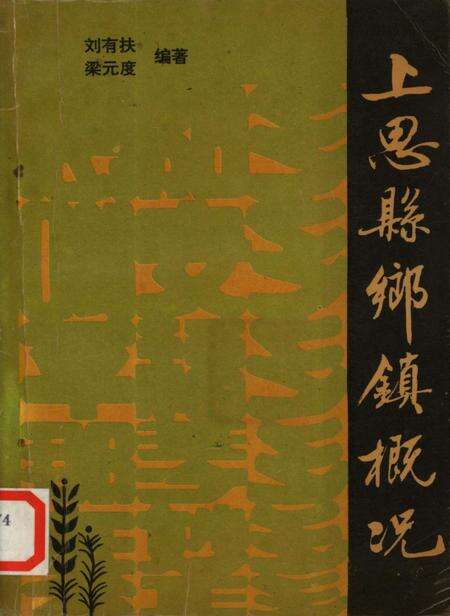 上思县乡镇概况.pdf电子版_广西壮族自治区志缩略图