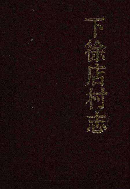 下徐店村志-1995.1.pdf电子版_浙江省志缩略图