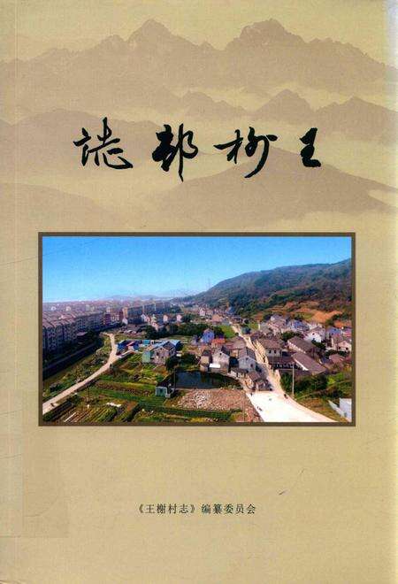 北仑王榭村志-《王榭村志》编纂委员会.pdf电子版_浙江省志缩略图
