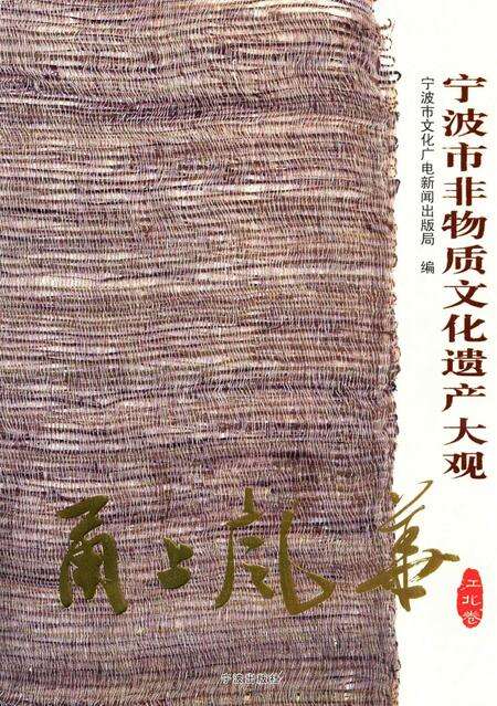 宁波市非物质文化遗产大观 ·江北卷-宁波市文化广电新闻出版局 编-2012. 8.pdf电子版_浙江省志