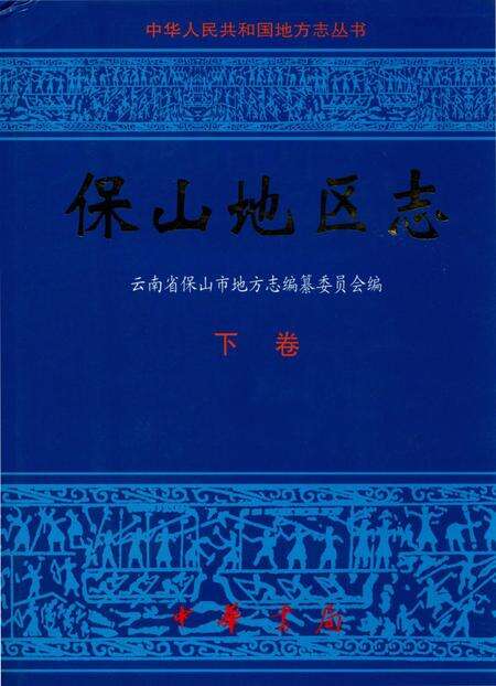 中华人民共和国地方志丛书 保山地区志 下卷.pdf电子版_河南省志缩略图