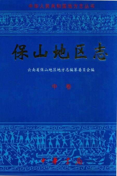 中华人民共和国地方志丛书 保山地区志 中卷.pdf电子版_河南省志缩略图