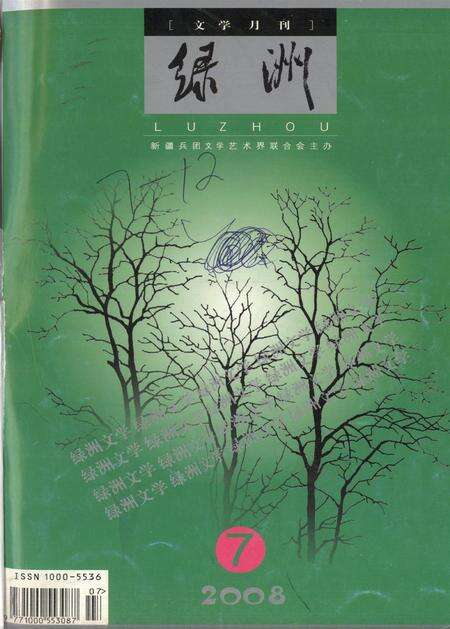新疆绿洲2008年第07期.pdf电子版_新疆维吾尔族自治区志缩略图