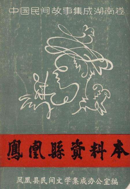中国民间故事集成湖南卷凤凰县资料本.pdf电子版_湖南省志缩略图