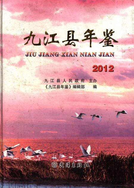 九江县年鉴2012.pdf电子版_江西省志缩略图
