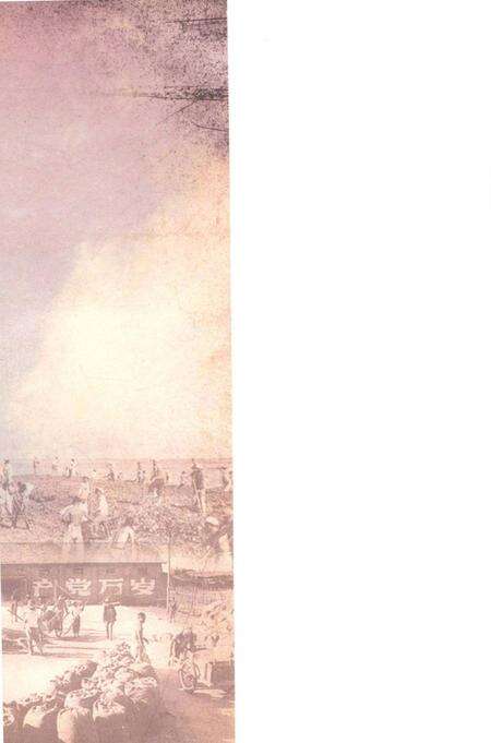 五七干校在信阳 信阳文史资料第九辑（下）.pdf电子版_河南省志预览图1