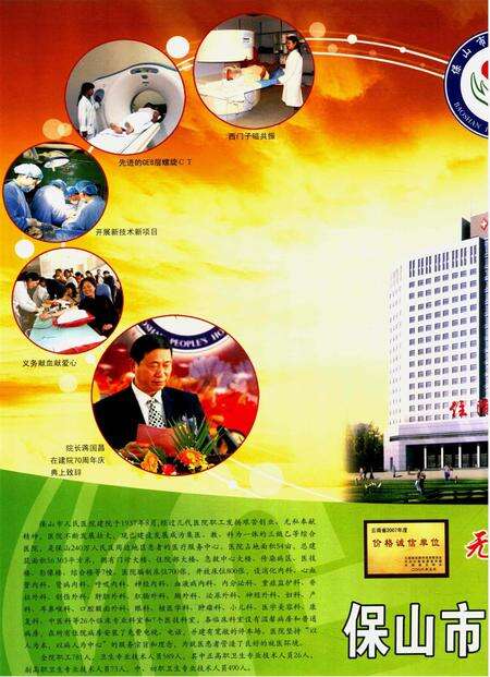 保山年鉴2008.pdf电子版_云南省志预览图1