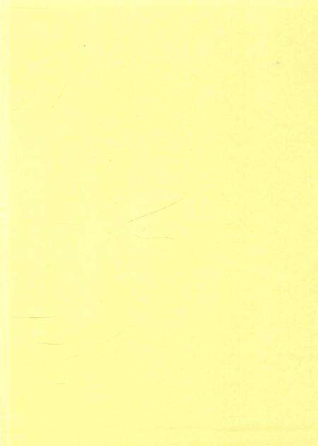 保山年鉴2011.pdf电子版_云南省志预览图1