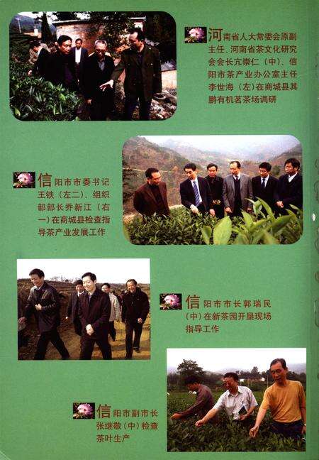 信阳论茶.pdf电子版_河南省志预览图1