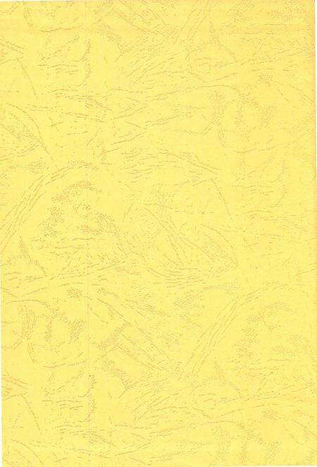 北湖年鉴 (2011).pdf电子版_湖南省志预览图1