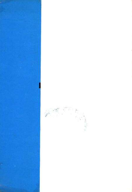 卢氏民俗志.pdf电子版_河南省志预览图1