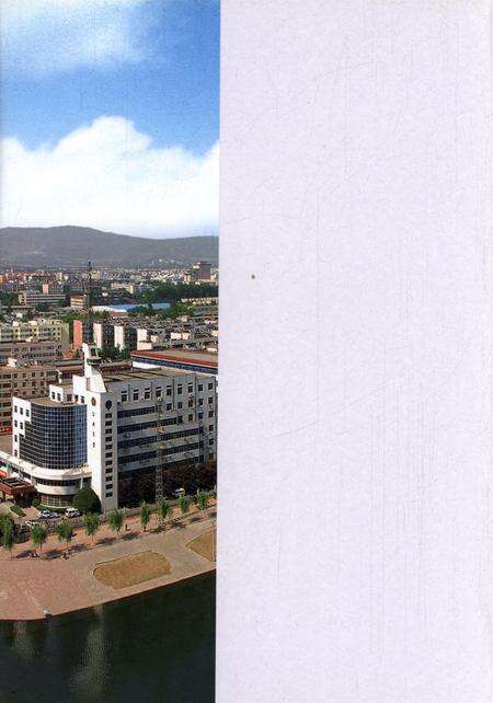 卫东区年鉴（2007）.pdf电子版_河南省志预览图1