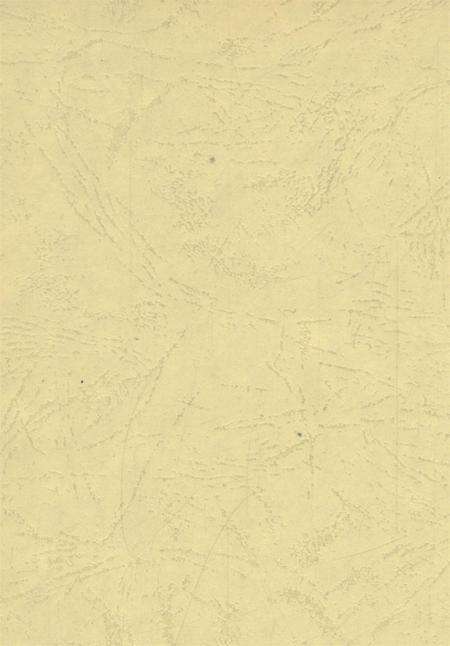 卫东年鉴2008.pdf电子版_河南省志预览图1