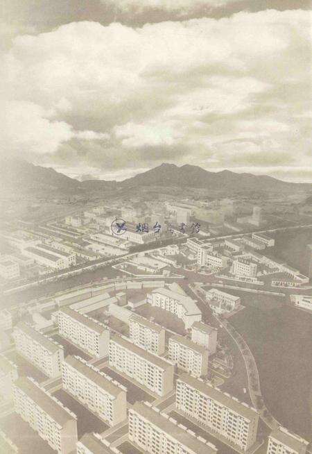 只楚村史.pdf电子版_山东省志预览图1