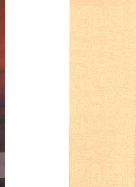 可爱的东兴.pdf电子版_广西壮族自治区志预览图1