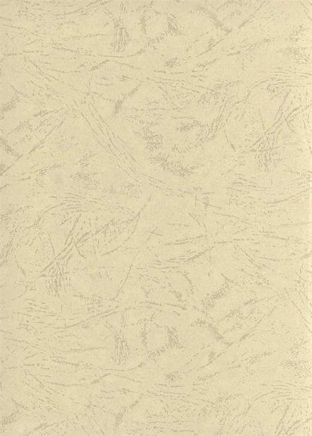 台前年鉴2008.pdf电子版_河南省志预览图1