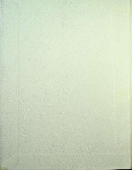 和龙年鉴（2013.12）.pdf电子版_吉林省志预览图1