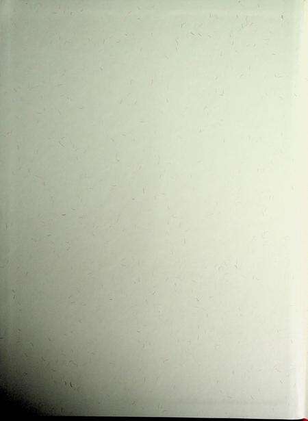 和龙年鉴（2015）.pdf电子版_吉林省志预览图1