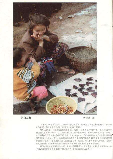 新疆绿洲第1996年第01期.pdf电子版_新疆维吾尔族自治区志预览图1