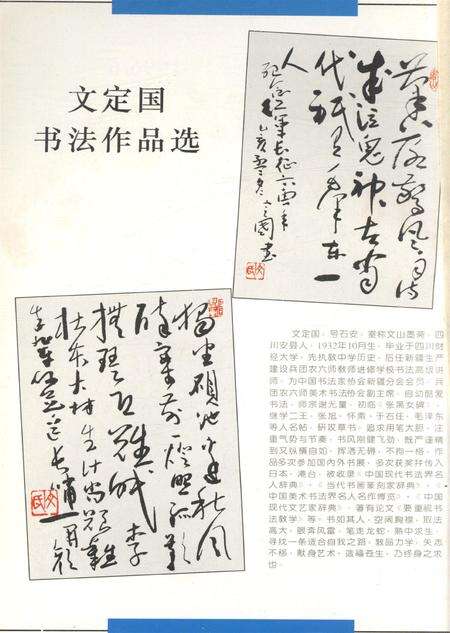 新疆绿洲第1996年第06期.pdf电子版_新疆维吾尔族自治区志预览图1