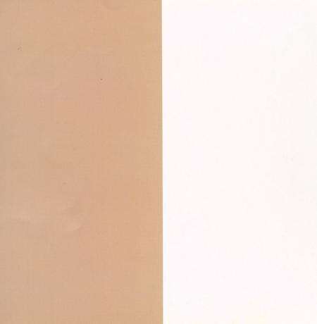 图说百年玉环（1909-2009）.pdf电子版_浙江省志预览图1