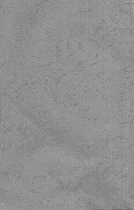 安仁县革命遗址普查成果（第一阶段）资料汇编.pdf电子版_湖南省志预览图1