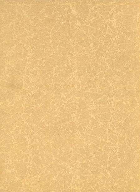 岳阳年鉴（2004）.pdf电子版_四川省志预览图1