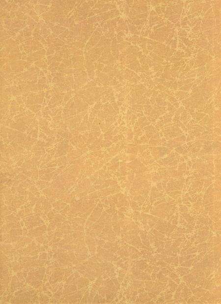 岳阳年鉴（2005）.pdf电子版_四川省志预览图1