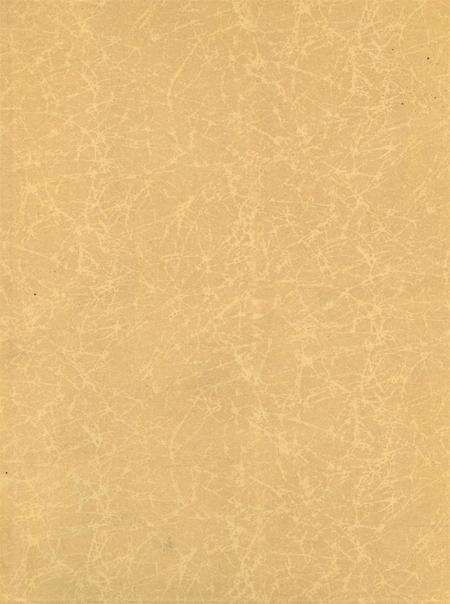 岳阳年鉴（2006）.pdf电子版_四川省志预览图1