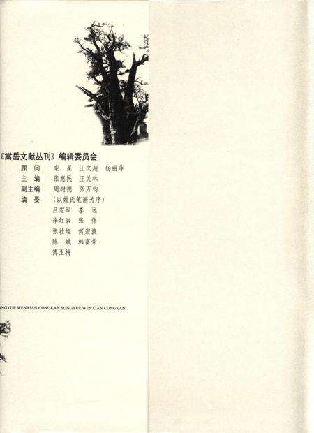 嵩岳文献丛刊（第一册）.pdf电子版_河南省志预览图1