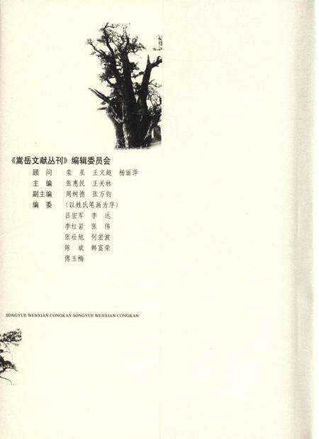 嵩岳文献丛刊（第三册）.pdf电子版_河南省志预览图1