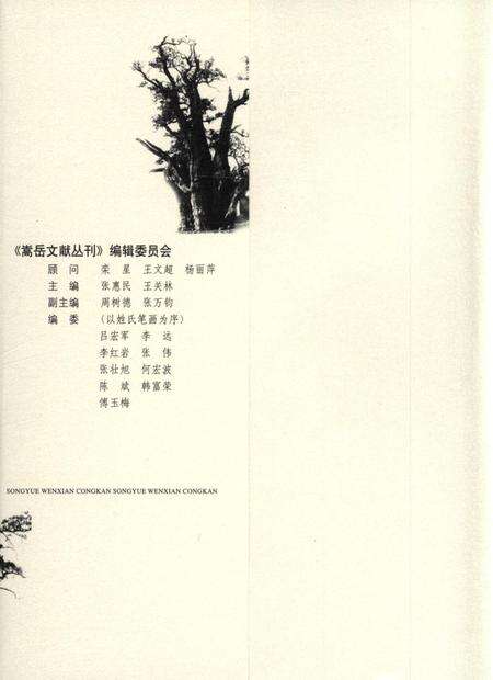 嵩岳文献丛刊（第四册）.pdf电子版_河南省志预览图1
