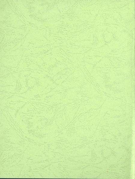 平顶山市卫东区年鉴（2015）.pdf电子版_河南省志预览图1