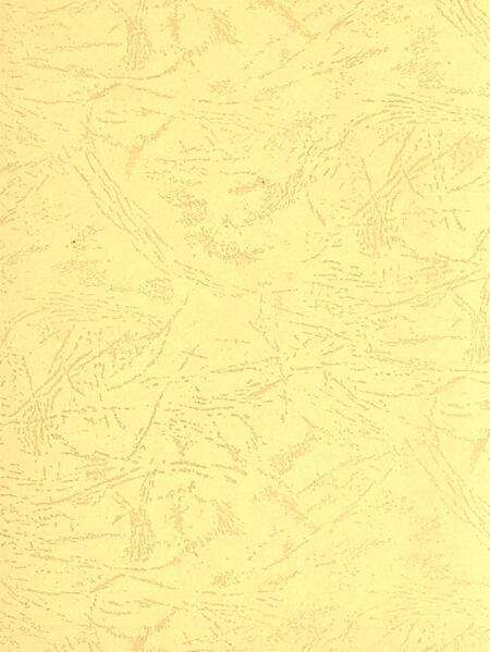 平顶山市精神文明建设年鉴（2006）.pdf电子版_河南省志预览图1