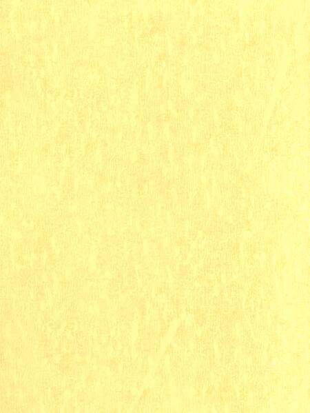 平顶山市精神文明建设年鉴（2008）.pdf电子版_河南省志预览图1