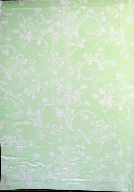 延边四十年.pdf电子版_吉林省志预览图1