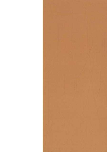 弥勒文史资料（第八辑).pdf电子版_云南省志预览图1