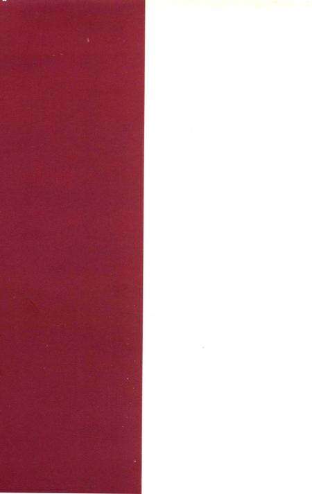 桂阳县粮食志(1989-2000).pdf电子版_湖南省志预览图1