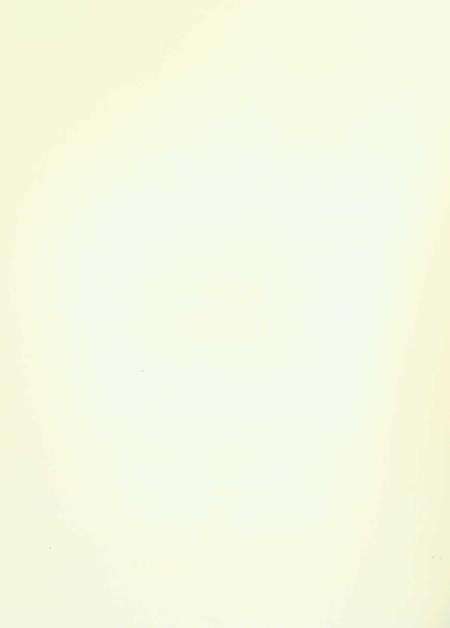 济源年鉴2019年.pdf电子版_河南省志预览图1