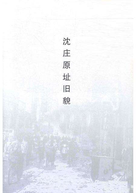 沈庄村志家谱.pdf电子版_河南省志预览图1