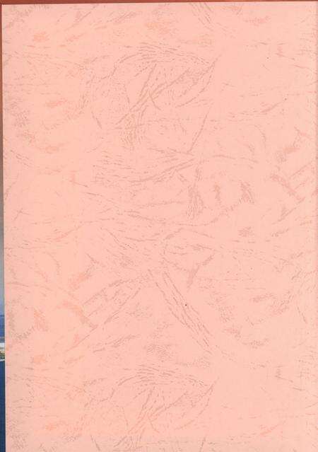 港口区大事记（1993.5-2003.5）.pdf电子版_广西壮族自治区志预览图1