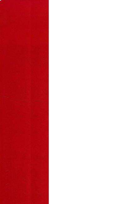 滇缅抗战史料 铁血丰碑 下.pdf电子版_云南省志预览图1