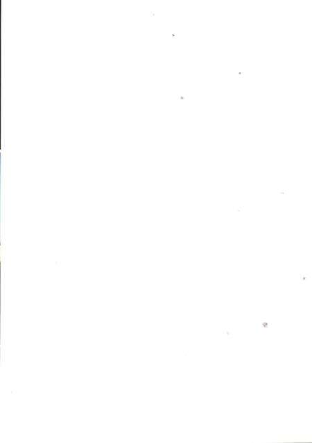 濮阳华龙区年鉴2008.pdf电子版_河南省志预览图1