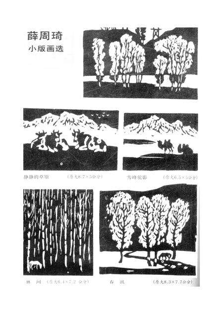 新疆绿洲1991年第03期.pdf电子版_新疆维吾尔族自治区志预览图1