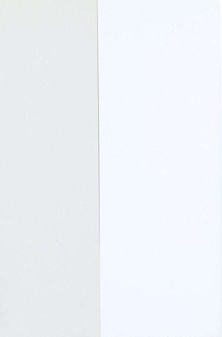 玉环县八届政协履职实录.pdf电子版_浙江省志预览图1